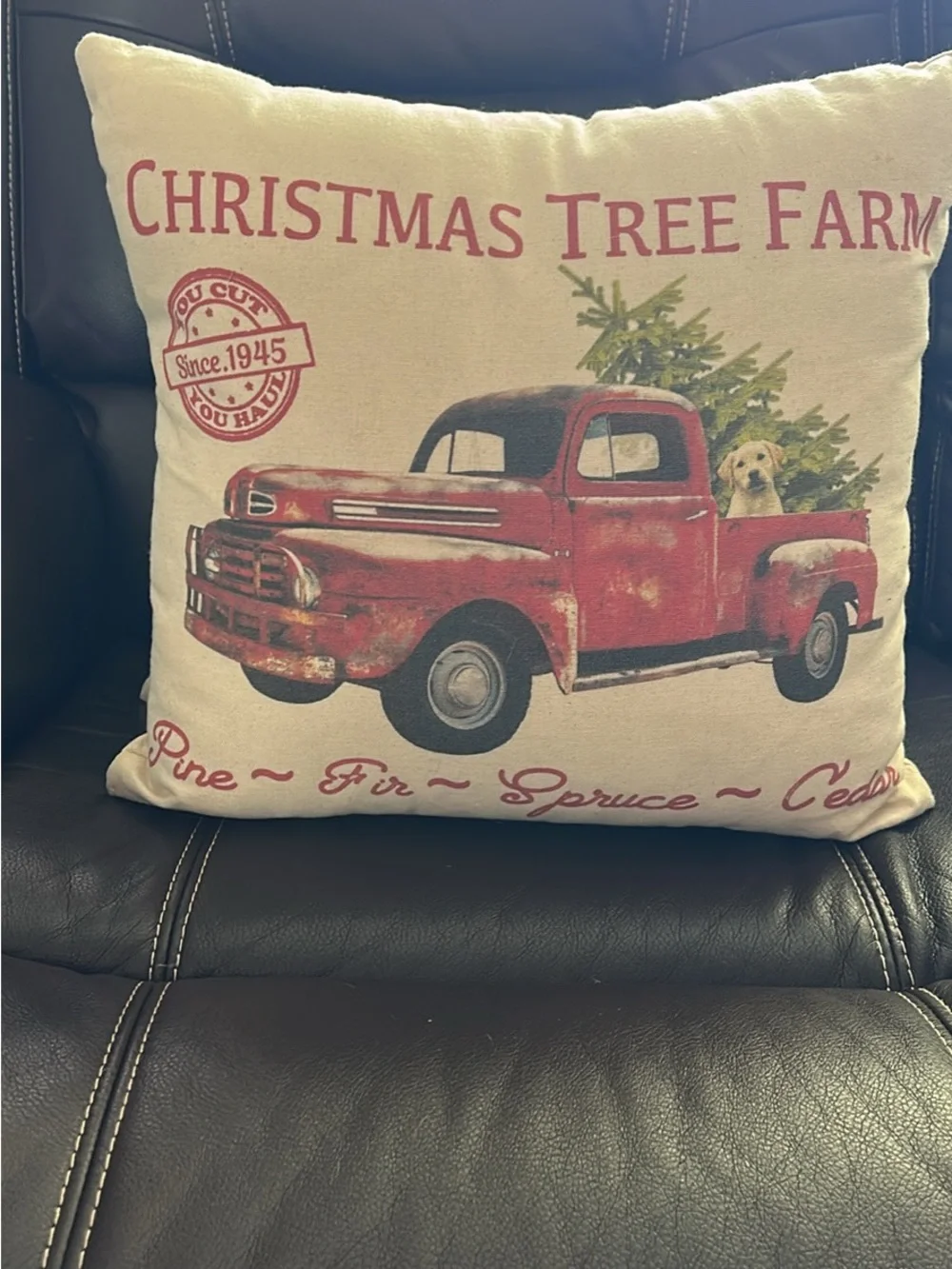 Holiday Pillow - Christmas Tree Farm Red Truck